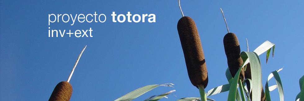 Proyecto Totora: llamados extensión e investigación