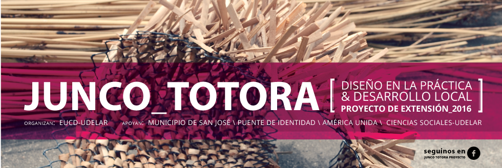 PROYECTO TOTORA: Diseño en la práctica y Desarrollo Local