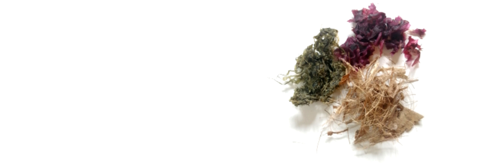 #caption-1 Exposición | Especulando con Nuevas Materialidades