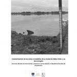 02_MEF