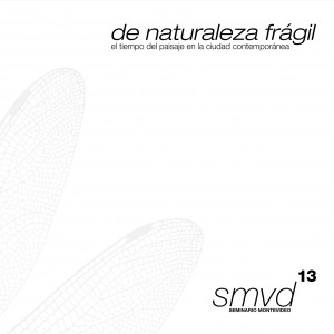 smvd13 de naturaleza frágil