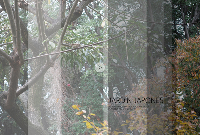 Jardín japonés 00