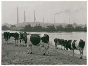 Estuario del Ruhr en Duisburg