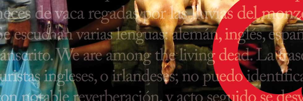 #caption-1 4–EXPOSICIÓN