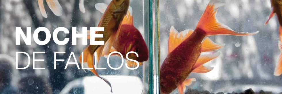 #caption-1 NOCHE DE FALLOS