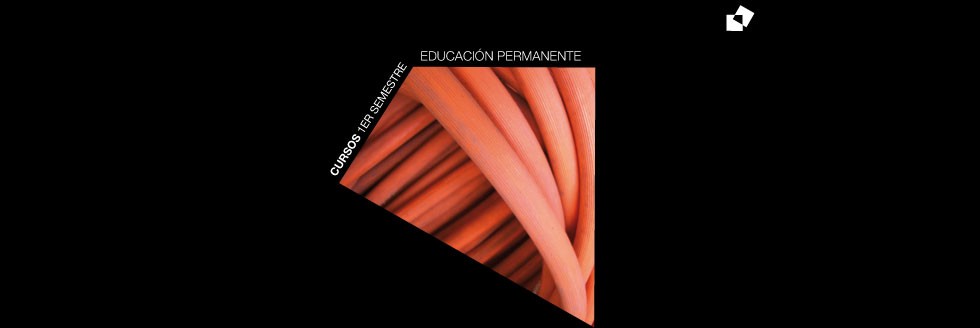 Llamado a propuestas. Cursos Educación Permanente