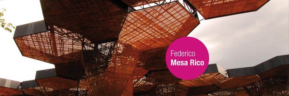 #caption-1 CONFERENCIA FEDERICO MESA RICO