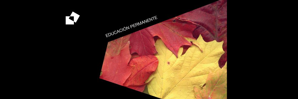 #caption-1 Cursos de Educación Permanente