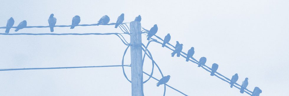 #caption-1 Encuentro de Coros Liceales