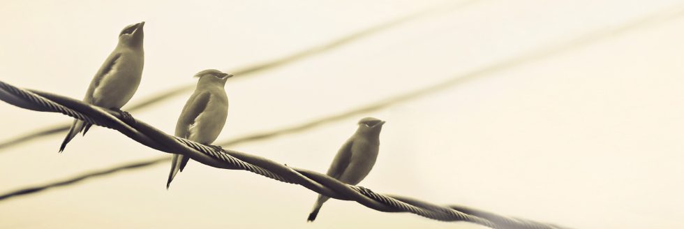 Encuentro de Coros en FADU