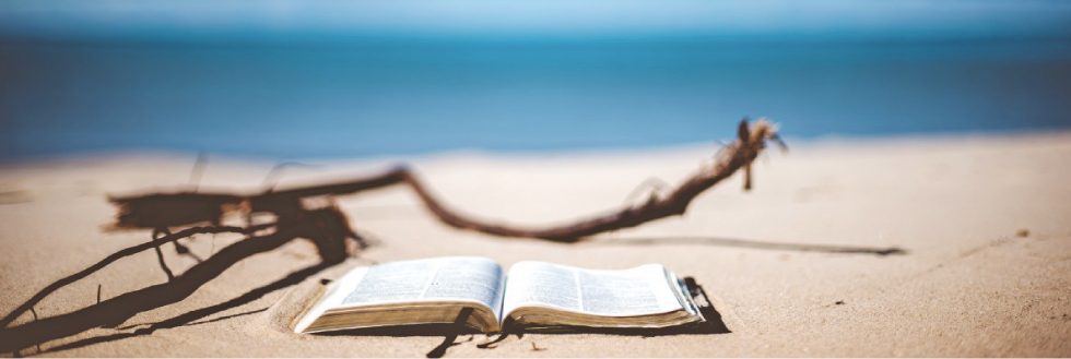 #caption-1 Cursos de verano 2018