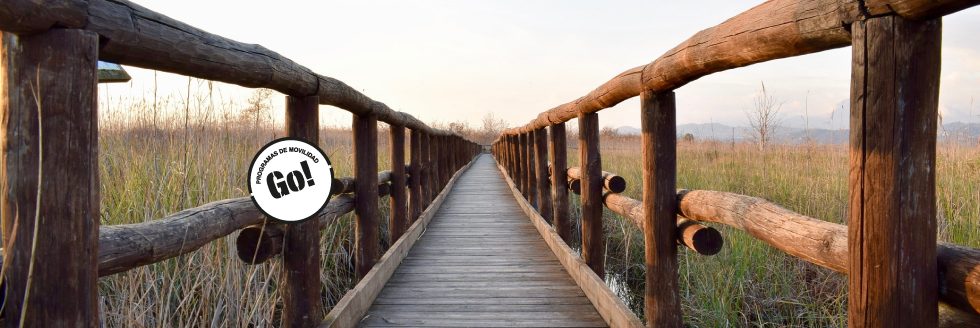 Becas Iberoamérica – Santander Investigación 2019-2020