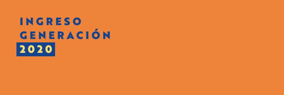 #caption-1 Generación ingreso 2020