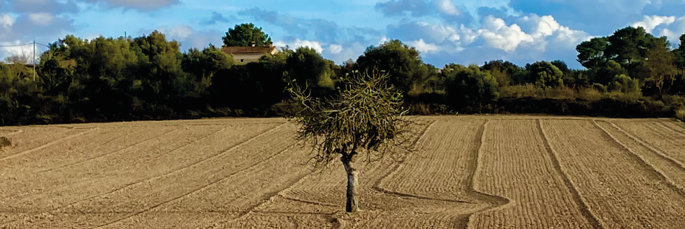 #caption-1 Conferencia: La necesidad del paisaje