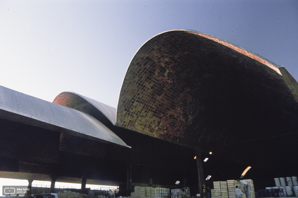 Agroindustrias Massaro S.A. Ing. DIESTE, Eladio, Ruta 5 -Canelones, Uy. 1976-1980. Foto Carlos Pazos 1995