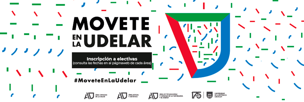 Inscripciones a Electivas | 1er semestre 2024