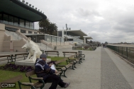 Hipódromo de Maroñas, arq. Fresnedo Siri, R., Montevideo, Uruguay, 1938-1945. Foto: Danae Latchinian, 2007