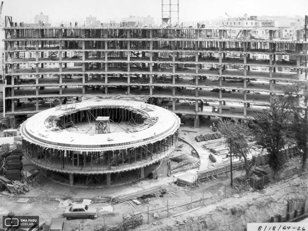 ORGANIZACIÓN PANAMERICANA DE LA SALUD (OPS), Arq. Fresnedo Siri, Román. Washingron, E.E.U.U., 1965.