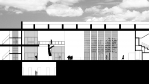 corte longitudinal sector hall