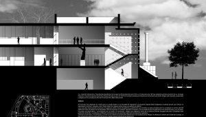 corte transversal hall