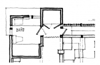 sectore planta 02