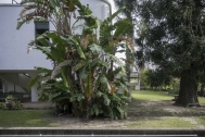 Chalet Las Nubes, Ing. TEXEIRA CAMPOS, A. Contstructores TEXEIRA CAMPOS, J y TEXEIRA CAMPOS, S. Sobre ideas de AMORÍM, E. Salto, Uy. 1929. Foto Nacho Correa 2016