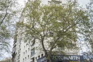 Vivienda de Apartamentos 14 de Mayo, ARBELECHE B. y CANALE M.A., 1947, Montevideo, foto: Silvia Montero 2015