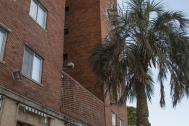 Viviendas de Apartamentos Edificio de Renta del BSE, Arqs. B. ARBELECHE, I. DIGHIE, 1952, Montevideo, Uruguay. Foto: Dané Latchinian, 2014.