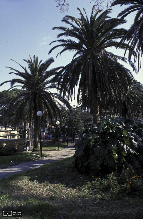 Plaza de los Olímpicos. Montevideo, Foto: Ruffo Martinez 2000