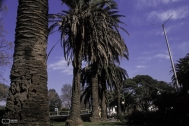 Plaza de los Olímpicos. Montevideo, Foto: Ruffo Martinez 2000