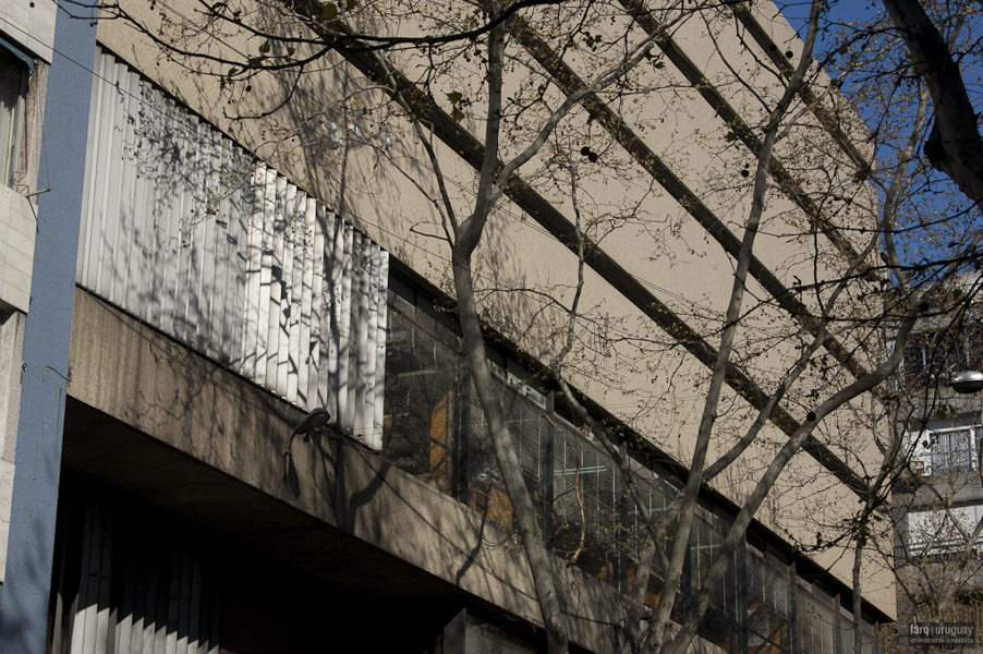 Oficinas PODER JUDICIAL, arq. AROZTEGUI Ildefonso, 1954, Montevideo, Foto: Silvia Montero 2009