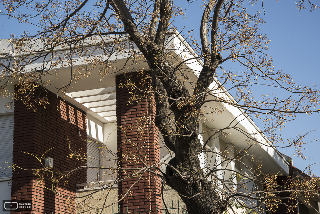 Vivienda Montegui, arq. MAZZINI Luis, 1949, Montevideo, Foto: Silvia Montero 2015