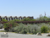 Taliesin West, WRIGHT, Frank Lloyd, Scottsdale, EE.UU. 1937. Foto: Noelia Mancebo, 2011