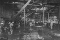 FRIGORÃFICO ANGLO, Fray Bentos, Foto: Archivo SMA