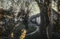 BARRIO PARA OBREROS DEL FRIGORÃFICO ANGLO, Fray Bentos, Foto: Archivo SMA