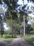 Parque Tomkinson, Zona Oeste, Montevideo, Uy, Foto: Sma, 2002