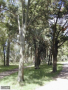 Parque Tomkinson, Zona Oeste, Montevideo, Uy, Foto: Sma, 2002