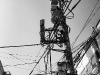 935700_10201286891273052_342352147_n