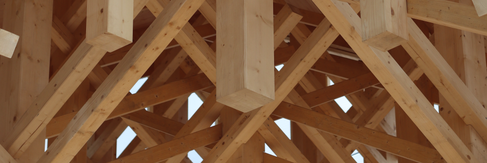 Exposición Sabia Madera